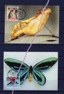 (alm) PAPOUASIE NOUVELLE GUINEE PAPUA NEW GUINEA CARTE MAXIMUM  PAPILLON BUTTERFLY Ornithoptera Alexandrae - Papouasie-Nouvelle-Guinée