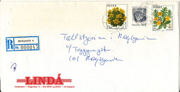 Iceland Registered Domestic Cover Reykjavik 25-5-1987 Topic Stamps - Storia Postale