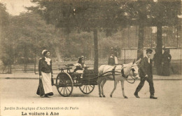 Paris , Jardin Zoologique D'acclimatation * La Voiture à âne * Ane Anes Donkey Attelage - Autres & Non Classés