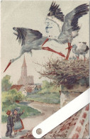 Illustrateur Alsace, Kauffmann Paul, Cigognes De Strasbourg, Edition Félix Luib - Kauffmann, Paul