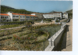 BUIS LES BARONNIES LE GROUPE SCOLAIRE 1964 - Buis-les-Baronnies