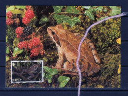 (alm) JERSEY CARTE MAXIMUM  GRENOUILLE - Grenouilles