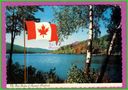 CPSM CANADA - The First Strokes Of Autumn's Paintbrush Drapeau Flag - Cartes Modernes