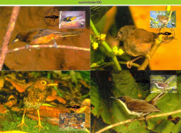 Ngb287mb WWF FAUNA VOGELS WIELEWAAL ORIOLE BIRDS VÖGEL AVES OISEAUX SAINT LUCIA 2001 MAX # - Cartoline Maximum