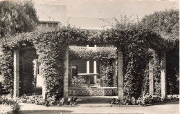 MAROC - Rabat - Jardin De La Résidence - Carte Postale Ancienne - Rabat