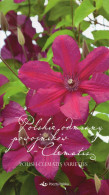 POLAND 2019 POLISH POST OFFICE LIMITED EDITION FOLDER: POLISH CLEMATIS VARIETIES MS FLOWERS PLANTS NATURE - Briefe U. Dokumente