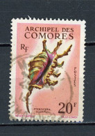 COMORES - COQUILLAGE -  N° Yt  23 Obli. - Oblitérés