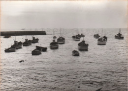 56 KERROCH  LORIENT  Une Vue Du Port    PHOTO LE GUERNEVE    TB PLAN. 1963.   RARE - Plömeur