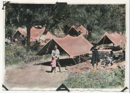 FRANCE - SCOUTISME - 6 Pages Recto Verso De Petites Photos Dont Une Quinzaine D'un Louveteau - 1936 - Scoutismo