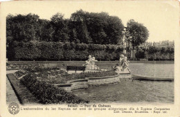 BELGIQUE - Beloeil - Parc Du Château.. - Carte Postale Ancienne - Belöil