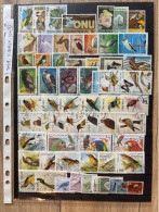 Thème Oiseaux Lot 1 - Verzamelingen, Voorwerpen & Reeksen