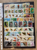 Thème Oiseaux Lot 2 - Collections, Lots & Series