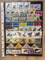 Thème Oiseaux Lot 5 - Collections, Lots & Series