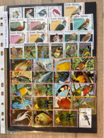 Thème Oiseaux Lot 7 - Colecciones & Series