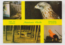 4439 METELEN, Vogel- Und Freizeitpark - Steinfurt