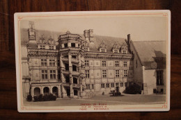 Photo 1880's Château De Blois Façade Méridionale (41) Tirage Vintage Print Albumen Albuminé Format Cabinet CDC - Lieux