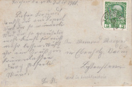 LIECHTENSTEIN - Précurseur: Carte Postale De TRIESEN Du 13/6/1910 - - ...-1912 Préphilatélie