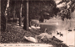 K0301 - LYON - D69 - Au Parc - Le Coin Des Cygnes - Lyon 6