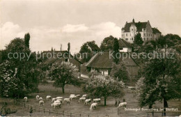 13769878 Stettfurt Schlossgut Sonnenberg  Stettfurt - Other & Unclassified