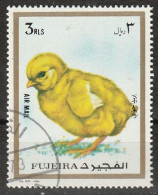 Fujeira 1972 Bf. 121B Uccelli Birds  Chicken (Gallus Gallus Domesticus) CTO - Hühnervögel & Fasanen