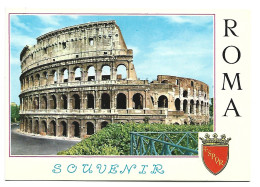 SOUVENIR.- IL COLOSSEO / THE COLOSEUM.- ROMA.-  ( ITALIA ) - Colosseum
