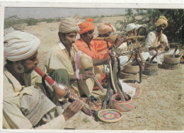 PAKISTAN 1 : A Typical Snake Charmer - Pakistan