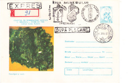 MINERALS, ROMANIA POSTAL STATIONERY - Minerals