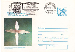 MINERALS, ROMANIA POSTAL STATIONERY - Minerals