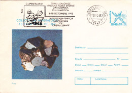 MINERALS, ROMANIA POSTAL STATIONERY - Minerals