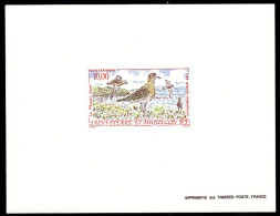 ST. PIERRE & MIQUELON(1992) Golden Plover (Pluvialis Dominica). Deluxe Sheet. Scott No C70, Yvert No PA73. - Non Dentelés, épreuves & Variétés