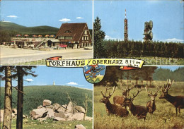 72425168 Torfhaus Harz Sporthotel Brockenblick Aussichtspunkt Sendeturm Rotwild  - Altenau