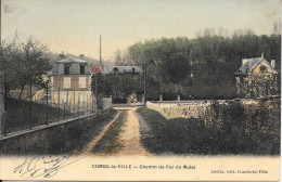 77 Combs La Ville  Chemin Du Pas Du Molet  20-10-1906 - Combs La Ville