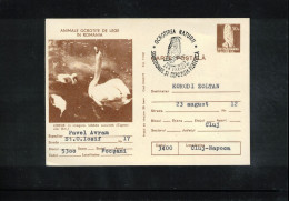 Romania 1978 Swan + Owl Interesting Cover - Cisnes
