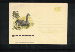 Russia USSR Black Swan Interesting Postal Stationery Letter - Cygnes