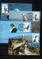 British Virgin Islands 1988 Birds - Pelicans WWF Maximum Cards 4x - Pelikane