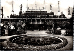 4-1-2024 (4 W 20) Italy - Lago Maggiore (Gardens Isola Bella) B/w - Arbres