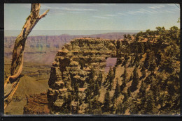 221aa* ANGELS WINDOW AT CAPE ROYAL * GRAND CANYON NATIONAL PARK **! - Grand Canyon