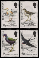 Tristan Da Cunha 1989 - Mi-Nr. 481-484 ** - MNH - Vögel / Birds - Tristan Da Cunha
