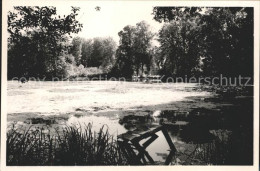 42056016 Seppensen Muehlteich Buchholz In Der Nordheide - Buchholz