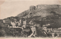 MONACO - Vue Sur Le Palais Du Prince Et La Tête De Chien - Carte Postale Ancienne - Fürstenpalast