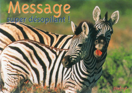 CPM - F - ZEBRE - MESSAGE SUPER DESOPILANT ! - Zebras