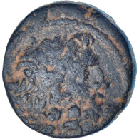 Near East, Caesarian Era, Æ, Mid-late 1st Century BC, Antiochia Ad Orontem - Provincia