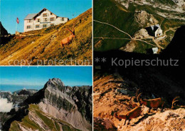 12778754 Weissbad Berggasthaus Rotsteinpass Gebirgspanorama Appenzeller Alpen St - Sonstige & Ohne Zuordnung