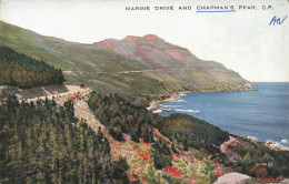 AFRIQUE DU SUD - Chapman's Peak - Vue D'ensemble - Carte Postale Ancienne - Sudáfrica