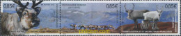 594328 MNH ANTARTIDA FRANCESA 2018 FAUNA - Unused Stamps