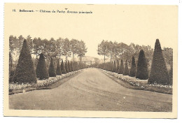 CPA Bellecourt, Château Du Pachy, Avenue Principale - Manage