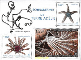 602573 MNH ANTARTIDA FRANCESA 2018 ESTRELLAS DE MAR - Unused Stamps