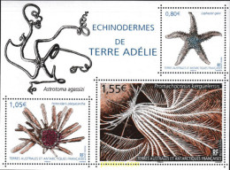 602573 MNH ANTARTIDA FRANCESA 2018 ESTRELLAS DE MAR - Nuevos