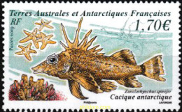 602586 MNH ANTARTIDA FRANCESA 2019  - Nuevos