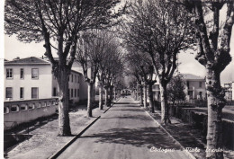 Cartolina Codogno ( Lodi ) Viale Trento - Lodi